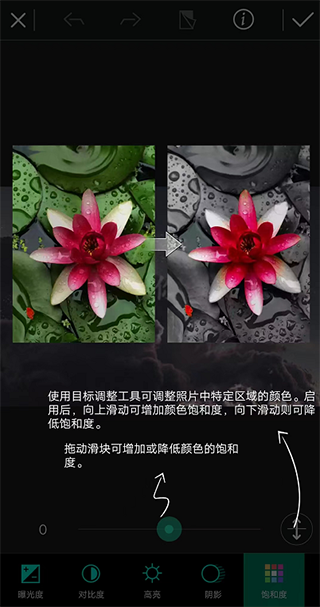 相片大师高级版app下载