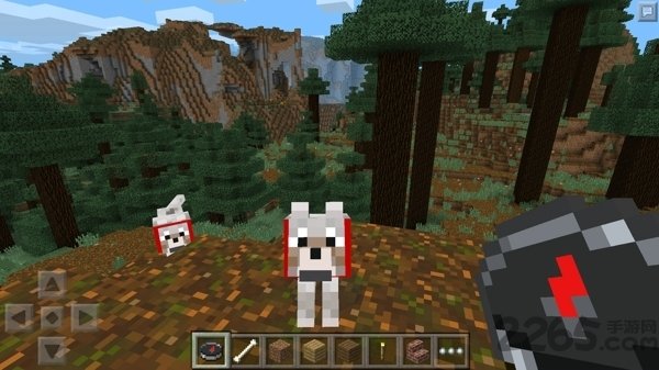 我的世界基岩版1.6