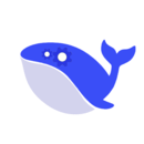 DeepSeek海外版