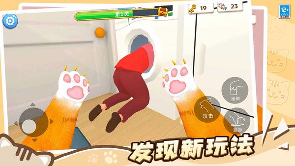 萌猫拆家