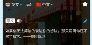 拍拍译