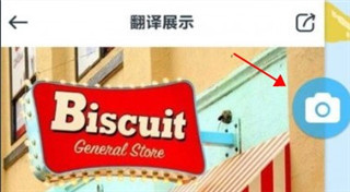 拍拍译