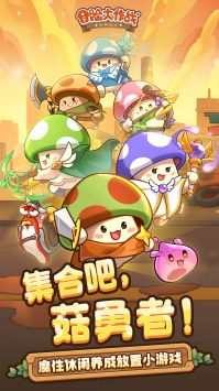 冒险大作战测试服