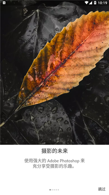 lightroom中文手机安卓版