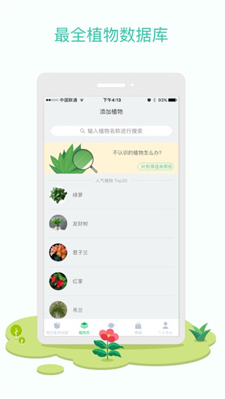 花花草草
