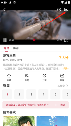 红叶影评2025年