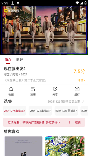 红叶影评2025年