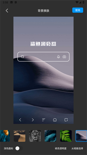 大鲨鱼浏览器