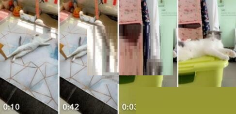 Snapchat软件安装正版免费