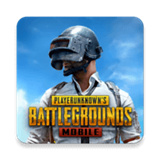 PubgLite中文版