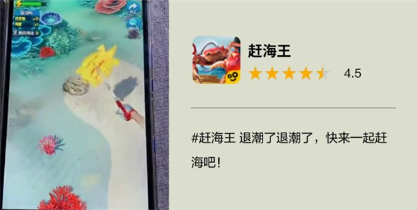 赶海王