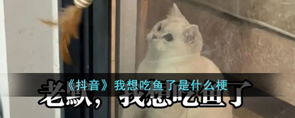我想吃鱼啦梗简介