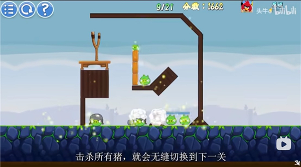 我的鸟随机