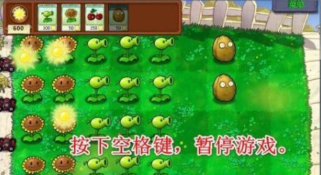 植物大战僵尸95版修正版