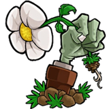 植物大战僵尸阴阳版