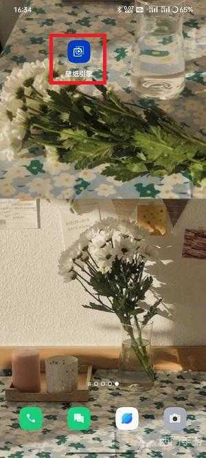 麻匪壁纸应用