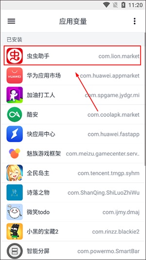 应用变量