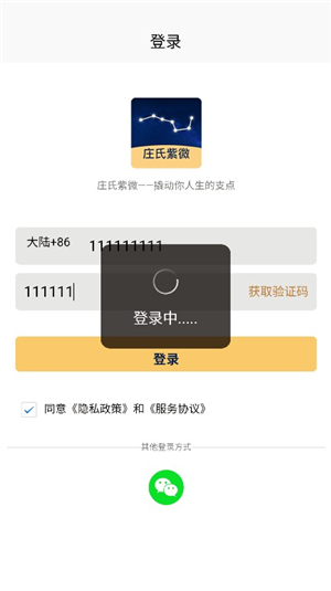 庄氏紫微