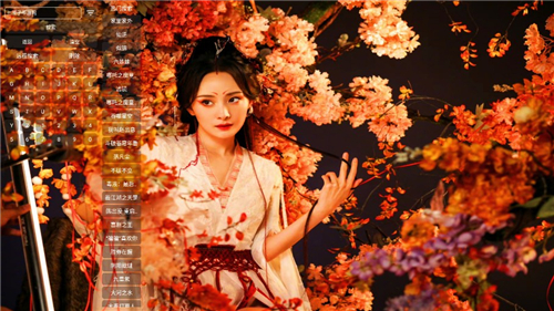 菠萝影视TV端