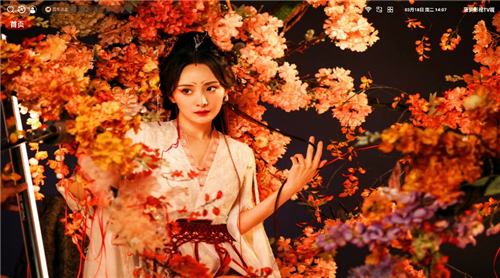 菠萝影视TV端