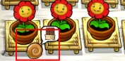 植物大战僵尸1经典怀旧版