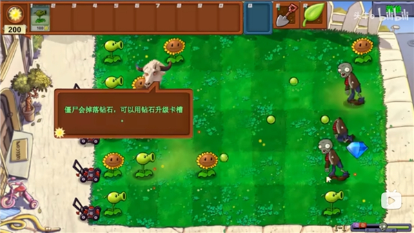 植物大战僵尸新指导版