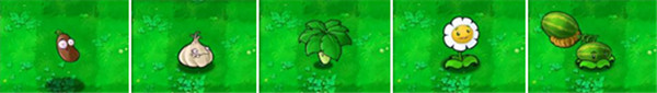 植物大战僵尸1花园版