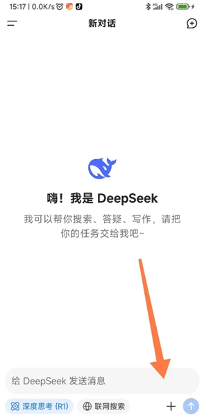 deepseek-ai智能对话助手