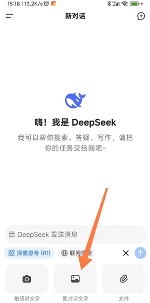 deepseek-ai智能对话助手