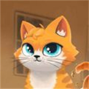 猫咪超可爱