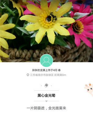 picturethis安卓版