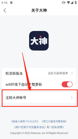 大神云游戏