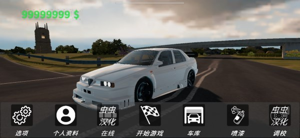 真实汽车驾驶