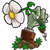 植物大战僵尸可接头版