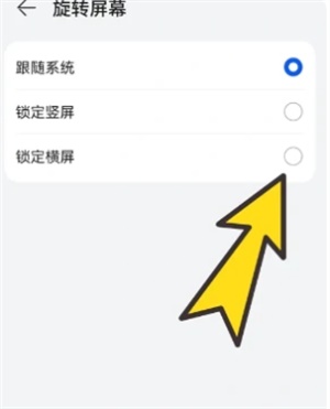 波波浏览器蓝色版