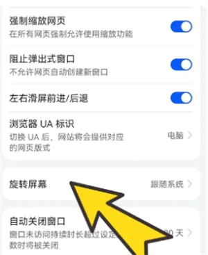 波波浏览器蓝色版