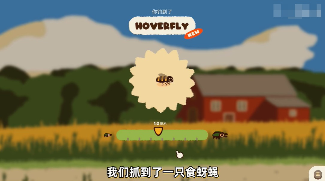 虫虫乐园