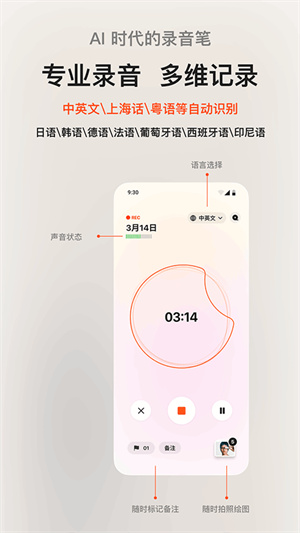 闪念贝壳