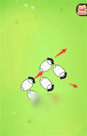 救救这只猪