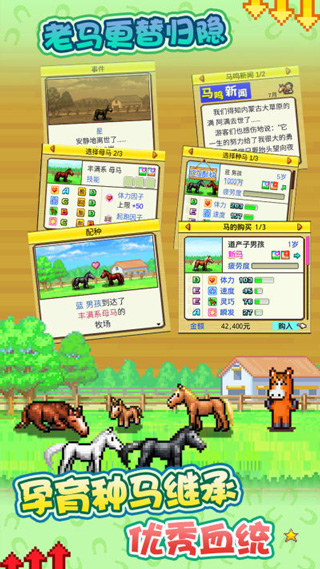 顶级赛马农场