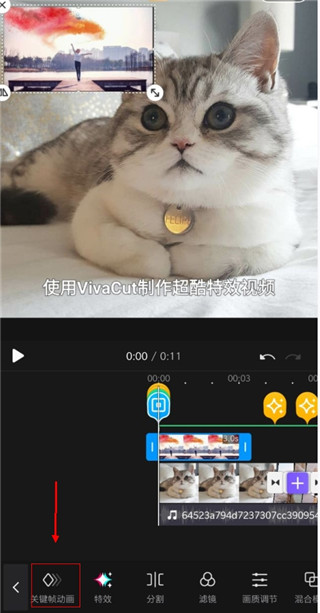 vivacut海外版