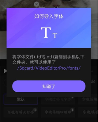 vivacut海外版